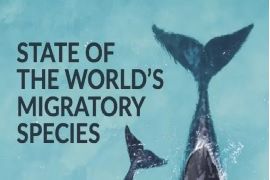 State of the World’s Migratory Species’ Report: An Analysis